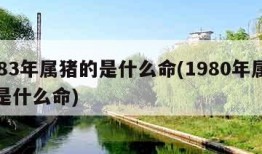 1983年属猪的是什么命(1980年属猴的是什么命)