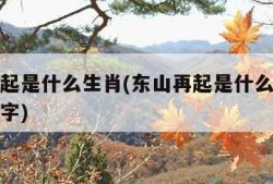 东山再起是什么生肖(东山再起是什么生肖或解一数字)