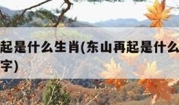 东山再起是什么生肖(东山再起是什么生肖或解一数字)