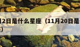 11月2日是什么星座（11月20日是什么星座）