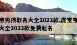 虎宝宝男孩取名大全2022款,虎宝宝男孩取名大全2022款免费起名