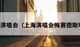 上海演唱会（上海演唱会梅赛德斯场地）