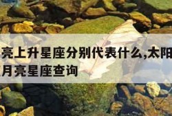 太阳月亮上升星座分别代表什么,太阳月亮上升星座月亮星座查询