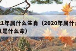 2021年属什么生肖（2020年属什么生肖鼠是什么命）