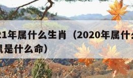 2021年属什么生肖（2020年属什么生肖鼠是什么命）