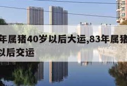 83年属猪40岁以后大运,83年属猪40岁以后交运