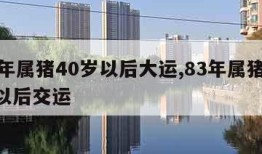 83年属猪40岁以后大运,83年属猪40岁以后交运