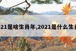 2021是啥生肖年,2021是什么生肖?