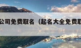 起名网公司免费取名（起名大全免费取名公司）