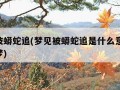 梦见被蟒蛇追(梦见被蟒蛇追是什么意思 周公解梦)