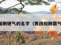 男孩阳刚硬气的名字（男孩阳刚霸气名字）