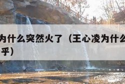 王心凌为什么突然火了（王心凌为什么突然不火了 知乎）