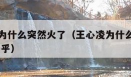 王心凌为什么突然火了（王心凌为什么突然不火了 知乎）