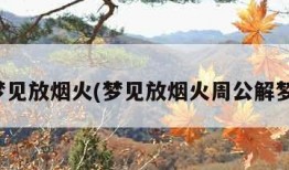 梦见放烟火(梦见放烟火周公解梦)