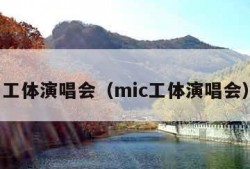 工体演唱会（mic工体演唱会）