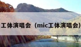 工体演唱会（mic工体演唱会）