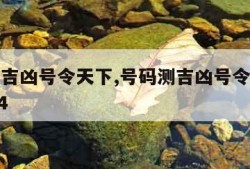 号码测吉凶号令天下,号码测吉凶号令天下免费1994