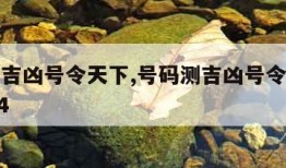 号码测吉凶号令天下,号码测吉凶号令天下免费1994