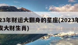 2023年财运大翻身的星座(2023年容易发大财生肖)