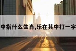 乐在其中指什么生肖,乐在其中打一字是什么