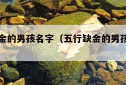 五行缺金的男孩名字（五行缺金的男孩名字免费）