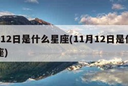 1月12日是什么星座(11月12日是什么星座)