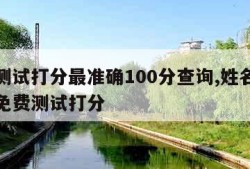 名字测试打分最准确100分查询,姓名打分测试免费测试打分