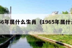 1956年属什么生肖（1965年属什么生肖）