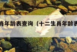 十二生肖年龄表查询（十二生肖年龄表查询老黄历）