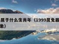 99年属于什么生肖年（1999属兔最佳结婚对象）