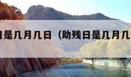 助残日是几月几日（助残日是几月几日2024）