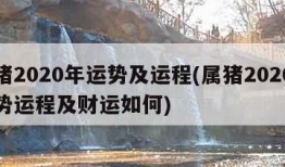 属猪2020年运势及运程(属猪2020年运势运程及财运如何)