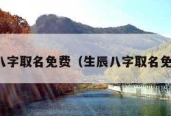 生辰八字取名免费（生辰八字取名免费测）