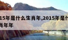 2015年是什么生肖年,2015年是什么生肖年年