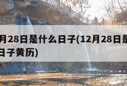 12月28日是什么日子(12月28日是什么日子黄历)