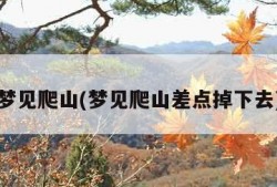 梦见爬山(梦见爬山差点掉下去)