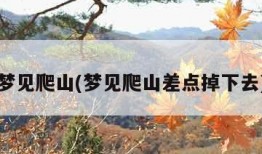 梦见爬山(梦见爬山差点掉下去)