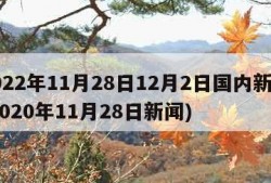 2022年11月28日12月2日国内新闻(2020年11月28日新闻)