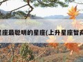 上升星座最聪明的星座(上升星座智商排行)