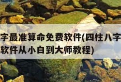 四柱八字最准算命免费软件(四柱八字最准算命免费软件从小白到大师教程)