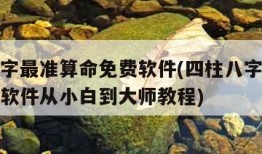 四柱八字最准算命免费软件(四柱八字最准算命免费软件从小白到大师教程)