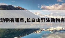 野生动物有哪些,长白山野生动物有哪些