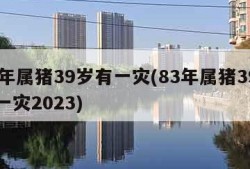 83年属猪39岁有一灾(83年属猪39岁有一灾2023)