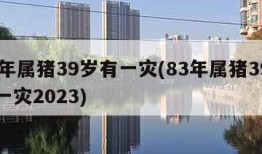 83年属猪39岁有一灾(83年属猪39岁有一灾2023)