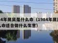 1984年属鼠是什么命（1984年属鼠是什么命适合做什么生意）