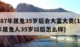 1987年属兔35岁后会大富大贵(1987年属兔人35岁以后怎么样)