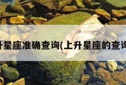 上升星座准确查询(上升星座的查询器)