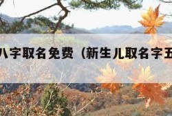 按生辰八字取名免费（新生儿取名字五行查询）