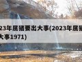 2023年属猪要出大事(2023年属猪要出大事1971)