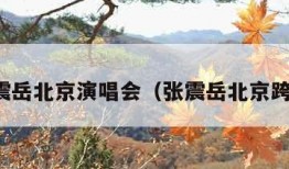 张震岳北京演唱会（张震岳北京跨年）